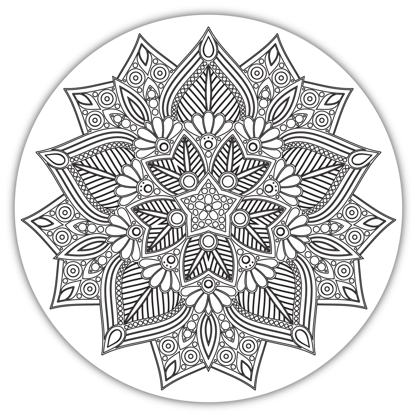 DIY Pre-marked Elegant Mandala Design on Canvas for Art & Craft, Painting M5