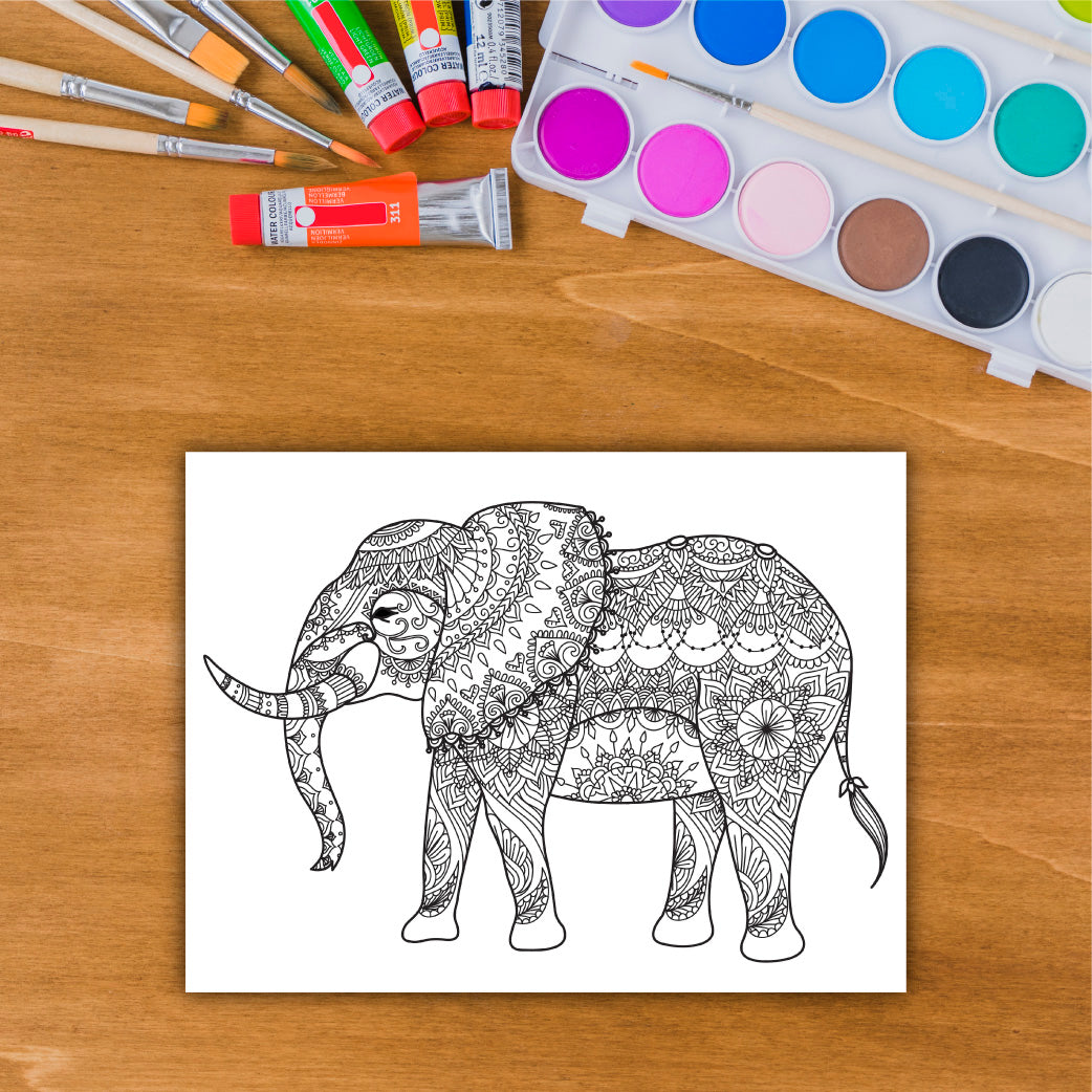 DIY Pre-marked Elephant Design on Canvas Base For Art & Craft Painting