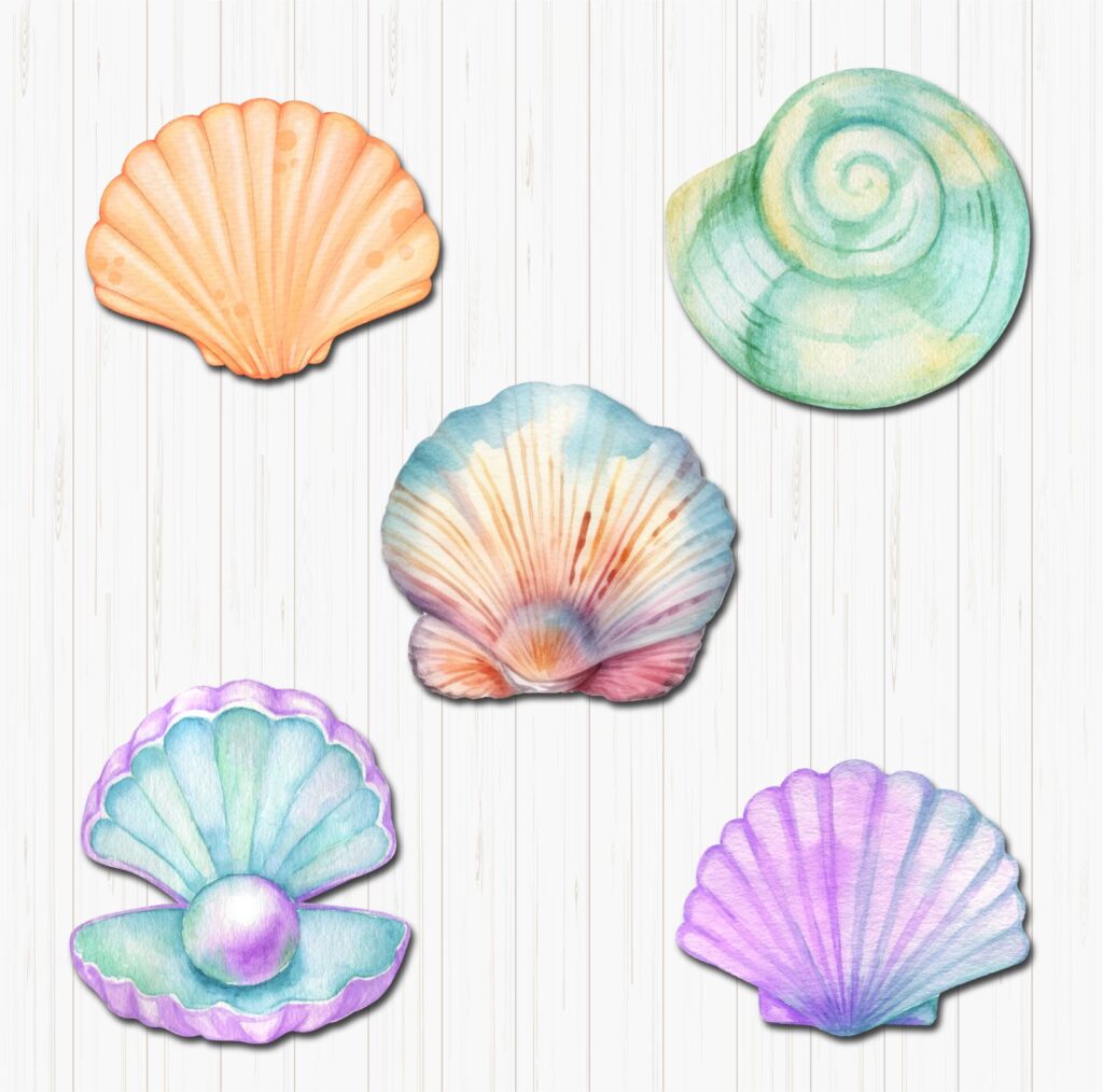 Seashell Small Sunboard Cutouts