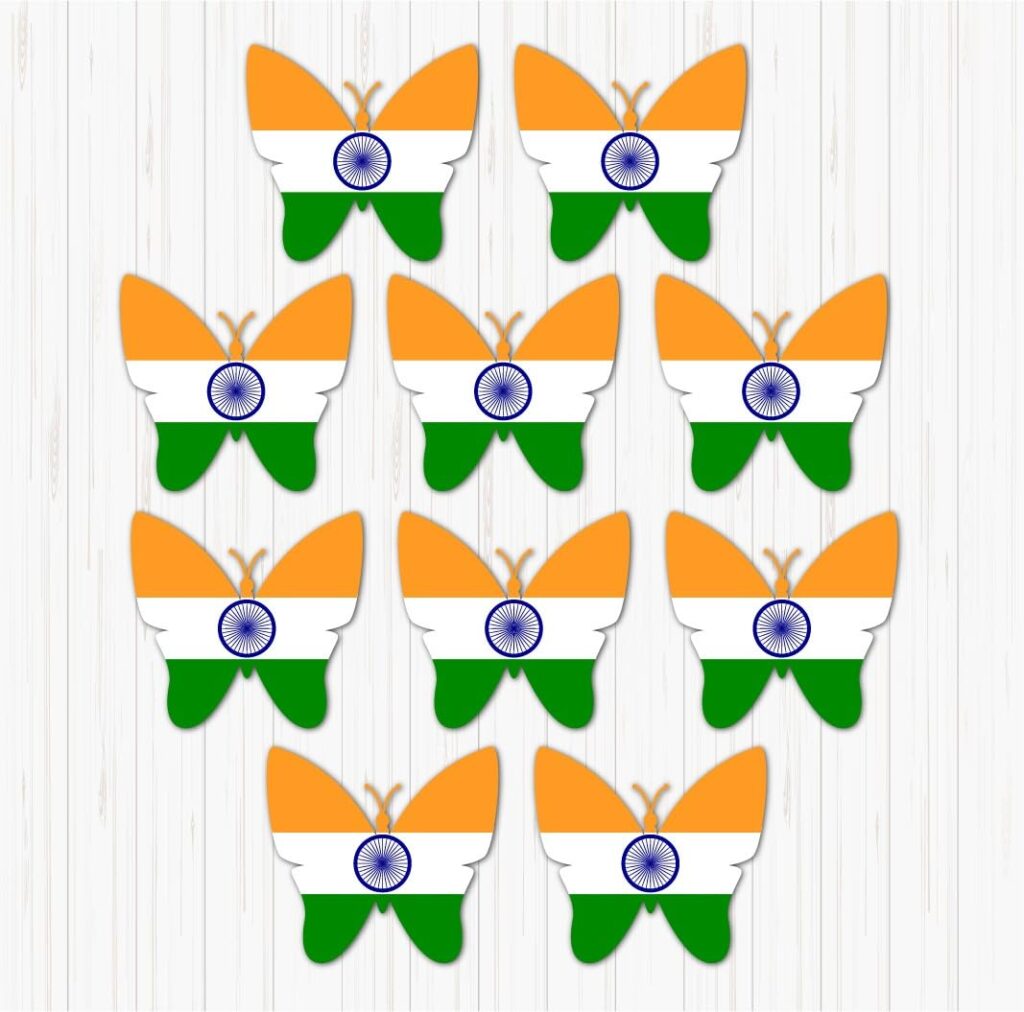 15 August Independence Day Decoration Items 2025