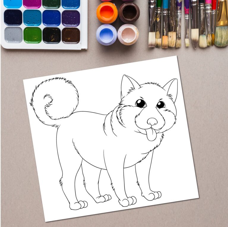 Things to Know About Pre-marked Canvas Bases