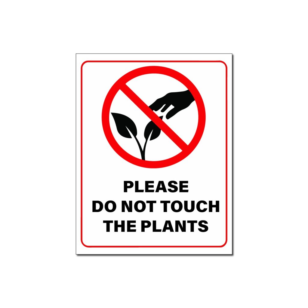 Affordable Signage Solutions for Small Businesses in 2026